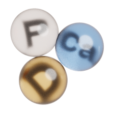 Calcium, phosphorus and vitamin D